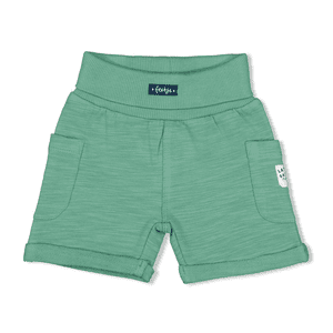 Shorts Later Gator Groen