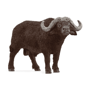 Cape buffalo 14872