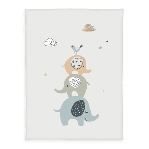 Microfaser-Flauschdecke Best Elephants 75 x 100 cm