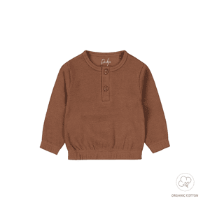 Sweatshirt Brown