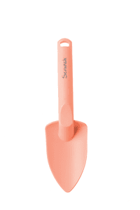- Shovel Coral