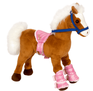 Cheval Holly - Amis des chevaux