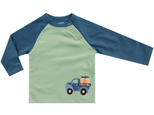 Swestshirt FARM FRESH vert/bleu