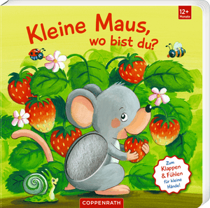 Mein 1. Guckloch-Fühlbuch: Kleine Maus wo bist du? (Fühlen&begreifen)