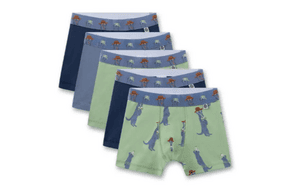 SET Short 5er Pack grün