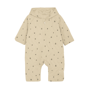 Overall Biscotti