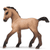 Potro andaluz 13669