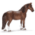 Caballo Tennessee Walker 13713