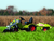 CLAAS Celtis Loader mit Trailer