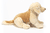 HERMANN TEDDY - Golden Retriever 30 cm, seduto