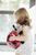 cloud-b Twilight Ladybug - Coccinella Classic red
