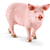 Schwein 13782