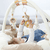 3-D Activity-Nest Teddy