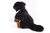 HERMANN Teddy Peluche chien bouvier bernois assis, 29 cm