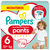 Pampers Premium Protection Pants, Gr.6 Extra Large, 15+kg, Monatsbox (1x 116 Höschenwindeln)