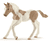 Paint Horse Fohlen 13886