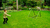 EXIT Tempo Multisport Rebounder 100x100cm, zielony/czarny