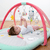 3-D Babygym Aiko & Yuki