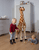 Giraffe 135 cm