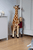 Giraffe 135 cm