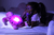 cloud-b  Tortuga con luz Tranquil Turtle  Pink