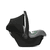 Tulip Graphite Grey 2020