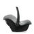 Tulip Graphite Grey 2020
