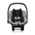 Tulip Graphite Grey 2020