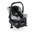 Tulip Graphite Grey 2020