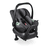 Babyschale Tulip Street Kollektion 2021