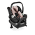 Babyschale Tulip Rose-Gold Diamond Edition Kollektion 2021