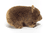Przytulanka Wombat 26 cm