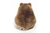 Przytulanka Wombat 26 cm