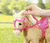 BABY born® My Cute Horse - Puppen