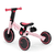 Tricycle 4TRIKE, candy pink