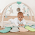 3-D Babygym octopus