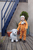 Animale cavalcabile gonfiabile - Cane