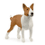 Bullterrier, 13966