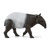 Tapir 14850