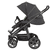 Kinderwagen Racer GTS birdy (204) Framekleur platina