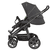 Kinderwagen Racer GTS birdy (204) Framekleur platina