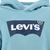 Levi's® Kids Boys Hoodie Aqua