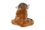 Cuddle kins mini scoiattolo scimmia