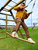 Rullalauta swing