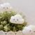 Luz nocturna lumilu String Light - cloud