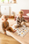 Krabbeldecke Waffelpique Motiv Sand Savanne 120x120cm