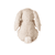 cloud-b LoveLight Buddies Billy Bunny, beige