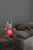 cloud-b  Love Light Buddies Lily de Eenhoorn Roze