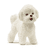 Bichon Frisé 13963