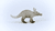 Aardvark 14863